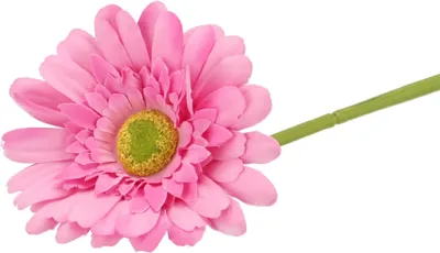 Produktbild von Kunstliche Gerbera-Blume - 72 cm - rosa - Real Touch - kunstliche Seidenblumen