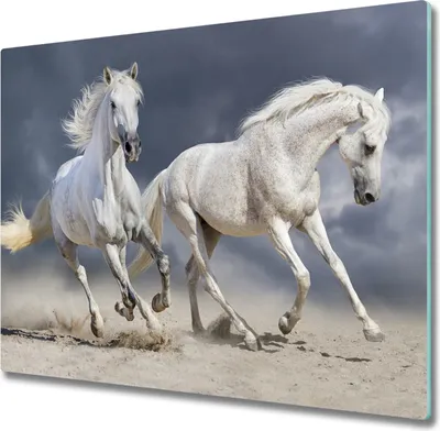 Produktbild von Glas Herdabdeckplatte 60x52 cm Spritzschutz Glasabdeckplatte Schneidebrett Strand Pferde