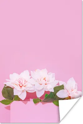 Produktbild von MuchoWow® Poster Blüte - Sommer - Rosa 120x180 cm - Kunstposter