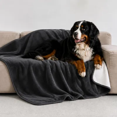 Produktbild von Wasserdichte Hundedecke – Sherpa-Fleece – 100 x 120 cm – Dunkelgrau