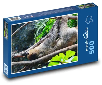 Obrázok produktu pre Puzzle 500 Leňochod v tropickom lese - martinpuzzle