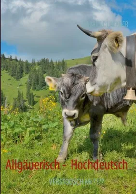 Immagine prodotto di Allgäuerisch - Hochdeutsch