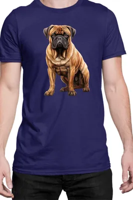 Immagine prodotto di Maglietta da uomo Dogs Breeds Bullmastiff Dog Breed 006, Man S , Bleu foncé