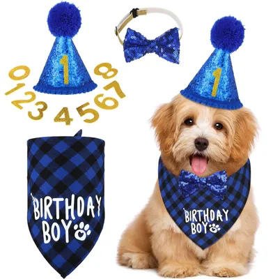 Productafbeelding van Accessoires voor een verjaardagsfeestje voor honden, verjaardag, jongens, meisjes, taart, bandana, dokter