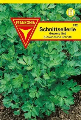 Produktbild von Schnittsellerie Gewone Snij