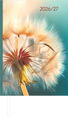 Produktbild von Campustimer Kalender 2027 Blowballs A5 (14,8x20,8 cm) Hardcover Wochenübersicht