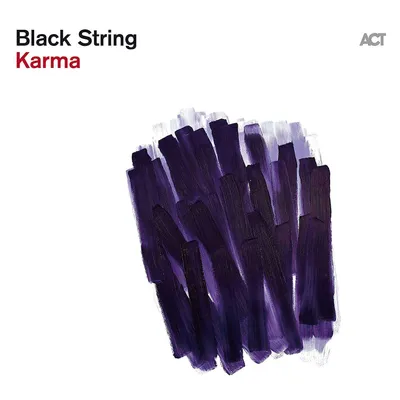 Immagine prodotto di Il karma