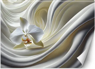 Produktbild von Vlies fototapete Weiße Orchidee 200x140 cm Feeby Weiß inkl. Kleber einfache Montage