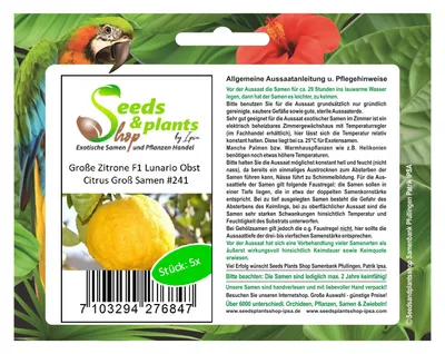 Produktbild von 5x Große Zitrone F1 Lunario Citrus Obst Pflanzen - Samen #241