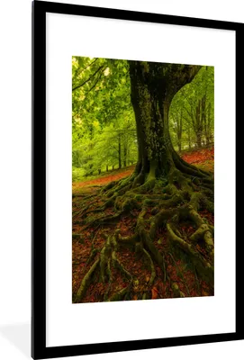 Produktbild von MuchoWow® Gerahmtes Poster Baum - Wald - Herbstblätter 60x90 cm - Poster mit Schwarzem Bilderrahmen Wandposter Rahmen Foto Bilder - Dekoration - Wandposter Wohnzimmer - Hochwertig