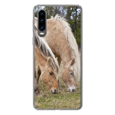 Produktbild von MuchoWow® Handyhülle Schutzhülle Hülle für Huawei P30 Zwei grasende Fjordpferde auf einer Wiese Silikon Softcase Handy Hülle - Kartenbesitzer