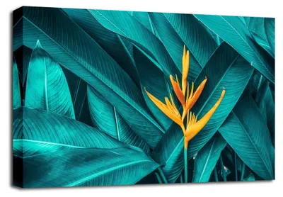 Produktbild von 5037 Leinwandbild Paradiesblüte Türkis 120x80 cm