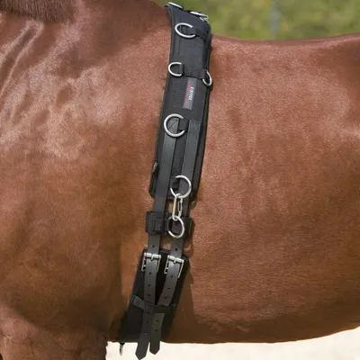 Produktbild von Kieffer Longiergurt inklusive Bauchgurt, Farbe:schwarz, Größe:Pony