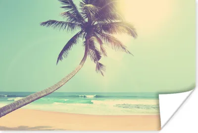 Produktbild von MuchoWow® Poster Retro - Palme - Sonne - Sommer 90x60 cm - Schlafzimmer