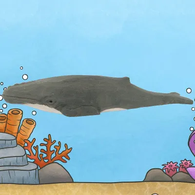Produktbild von WUDIMALS Wudimals Sea Life – Buckelwal