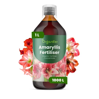 Produktbild von Amaryllis Flüssigdünger 1L – 3-4-3 NPK – Flüssigdünger Für Blühpflanzen – Für Große Blüten & Starke Zwiebeln – Organifer