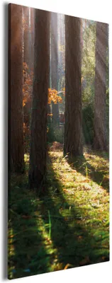 Produktbild von Wallario Premium Leinwandbild Sonnenstrahlen im Herbstwald in Größe 50 x 125 cm