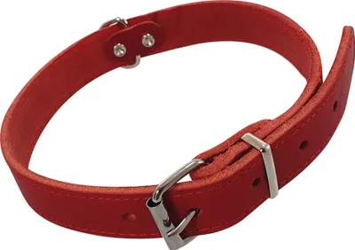 Produktbild von Nobby Halsband Tabil rot, Größe: L / Breite: 25 mm