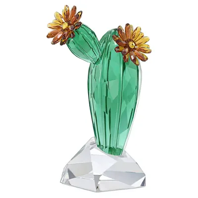 Produktbild von Swarovski CRYSTAL FLOWERS:GOLDEN YELLOW CACTUS 5427592 Neuheit 2023