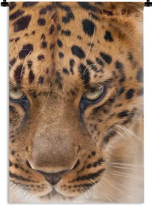 Produktbild von MuchoWow® Wandteppich Wandbehang Leopard - Porträt - Gesicht 90x135 cm Tapisserie Dekoration Wandtuch - Baumwolle - Wandskulptur