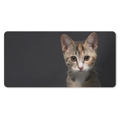 Produktbild von MuchoWow® Mauspad Mousepad Katze - Schwarz - Porträt 60x30 cm - Mousepads - Maus Mat - Pad - Mausunterlage - Nachhaltig