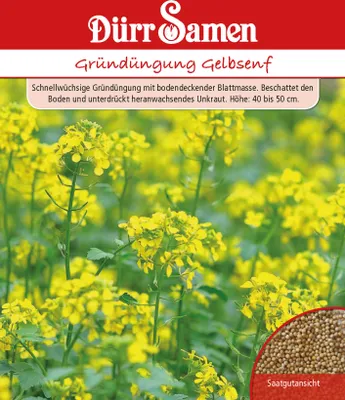 Artikelbild 1 von 'Gründünger Gelbsenf Portionstüte 80 g' aus der Kategorie Gründünger & -düngung