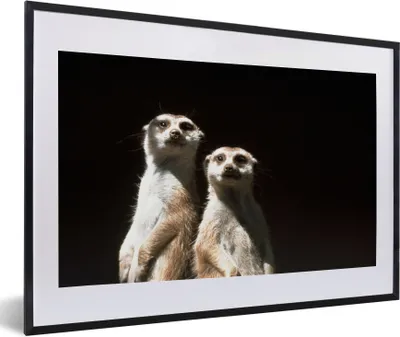 Produktbild von MuchoWow® MuchoWow® Gerahmtes Poster Schwarz - Erdmännchen - Tiere 60x40 cm - Poster mit zchwarzem Bilderrahmen - Schlafzimmer - Plakat in Rahmen - Drucken