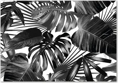 Produktbild von Tulup® Glas-Bild - 100 x 70 - Wandbild aus Glas - Wandkunst - Wandbild hinter gehärtetem Sicherheitsglas - Blumen & Pflanzen - Palmenblätter - Schwarzweiß