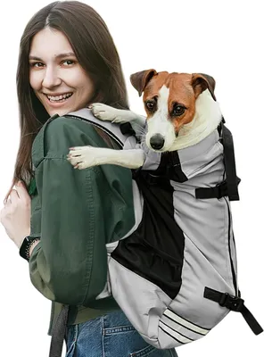 Produktbild von Famanu Hunde-Rucksack verstellbar für kleine und mittelgroße Hunde - platzsparende Haustier-Rucksack für Wandern, Bergsteigen und Reisen (L)