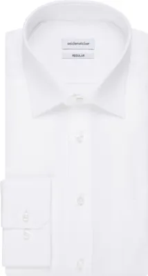 Image de Seidensticker Chemise de travail à manches longues pour hommes