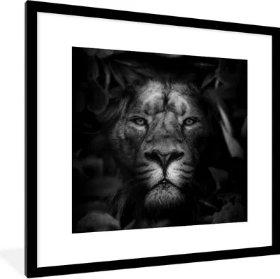 Produktbild von MuchoWow® Gerahmtes Poster Tiere - Löwe - Dschungel - Schwarz - Weiß 40x40 cm - Poster mit Schwarzem Bilderrahmen Wandposter Rahmen Foto Bilder - Poster - Plakat im Rahmen