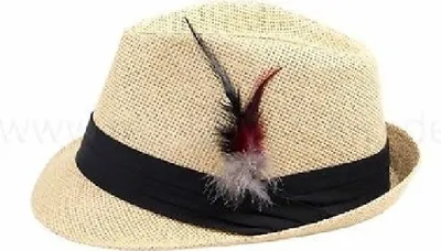 Produktbild von Ra-TH31 beige Herren Bayern-Tirolerhut
