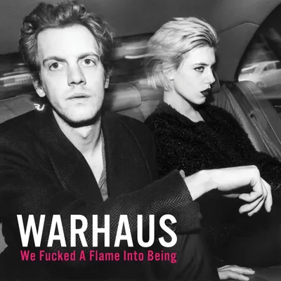 Obrázok produktu pre Warhaus: We Fucked A Flame Into Being (180g)