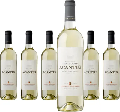 Produktbild von 6 x Bodegas Olarra Acantus Sauvignon Blanc