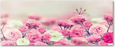 Produktbild von Tulup® Glas-Bild Wandbild aus Glas - 125x50 - Wandkunst - Wandbild hinter gehärtetem Sicherheitsglas - Dekorative Wand für Küche & Wohnzimmer  - Blumen & Pflanzen - Blumen Rose - Rosa