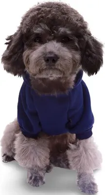 Immagine prodotto di Felpa Poly for Dog Blue M