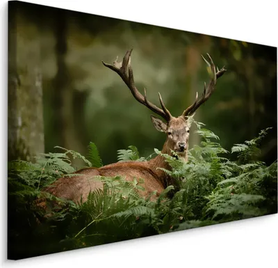 Produktbild von Fabelhafte Canvas LEINWAND BILDER 120x80 cm XXL Kunstdruck Wald Hirsch Grün Bäume