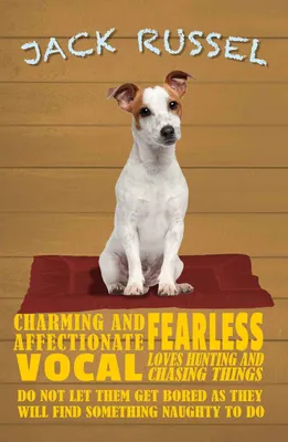 Produktbild von vianmo Holzschild 18x12 cm Jack Russel Hund charming Dekoration