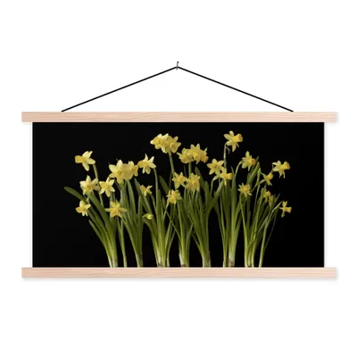 Produktbild von MuchoWow® Textilposter Mehrere Narzissen mit Zwiebeln auf schwarzem Hintergrund 60x30 cm mit holzfarbenen Rahmen - Dekoration