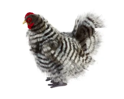Produktbild von Hansa Toy 6479 Huhn grau 30 cm Kuscheltier Stofftier Plüschtier