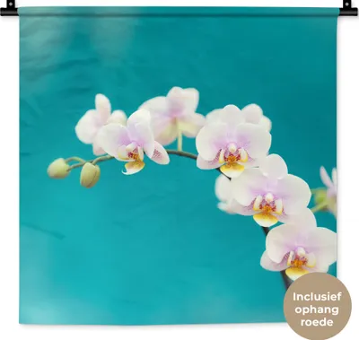 Produktbild von MuchoWow® Wandteppich Wandbehang Orchidee - Blumen - Pflanze - Weiß - Lila 60x60 cm Tapisserie Dekoration Wandtuch - Dekorationen - Wand Decke