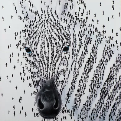 Produktbild von ArtUniverse Leinwandbild Zebra Aus Menschen 115 x 115 cm