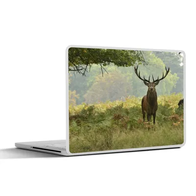Produktbild von MuchoWow® Laptop Aufkleber Sticker Cover Hirsche - Natur - Tiere 32.5x23.5 cm - Sticker für Laptop - Selbstklebend