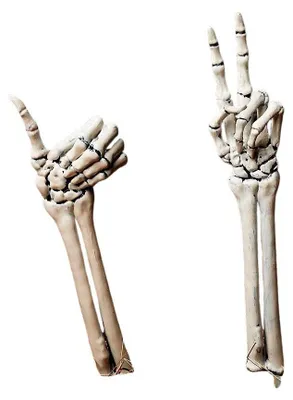Produktbild von Grab Skelett Hände - Horror Grusel Halloween deko