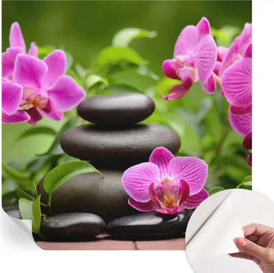 Produktbild von Selbstklebende Wandtapete - Dekorative Tapete für Wohnzimmer - Klebefolie für Wandbilder - Tapetenfolie für Wanddekoration - 250x250 cm - Orchideensteine