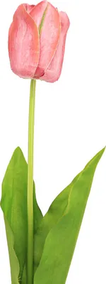 Produktbild von Tulpe Kunstblume Dekoration Frühlingsdeko für Vase und Tisch