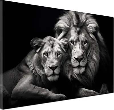Produktbild von Löwen Black Style Wandbild Leinwandbild Kunstdruck XL Wanddeko: 120x80x4cm