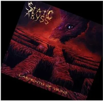 Produktbild von Labyrinth Of Veins
