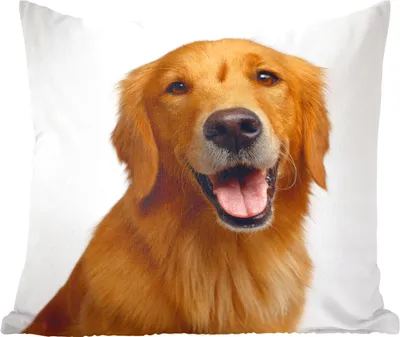 Produktbild von MuchoWow® Zierkissen Sofakissen Wohnzimmer Dekokissen 45x45 cm Porträt eines goldbraunen Golden Retrievers - Schlafpolster - Polster für das Sofa