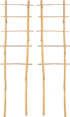Image de 2x palissade en bambou 60cm support pour fleurs treillis aide à l'escalade spalier